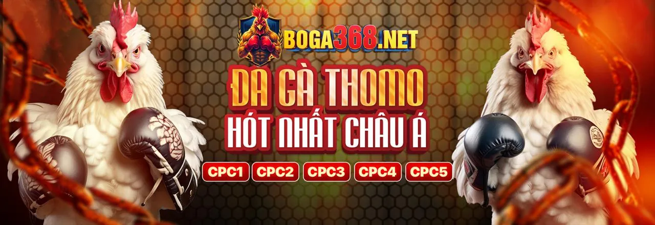 Đá gà trực tuyến kịch tính tại betvnd8 đăng nhập