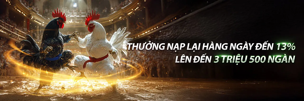 Sân chơi cá cược thể thao betvnd8 login