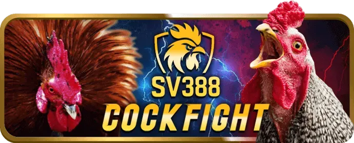 Đánh giá và phân tích chuyên sâu betvnd8 login